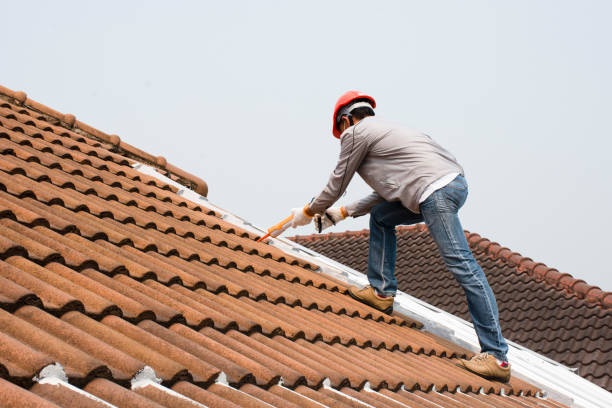 Best Slate Roofing  in Genoa, AR