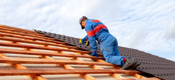 Best Roof Leak Repair  in Genoa, AR